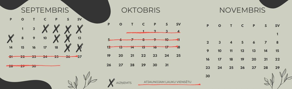 atputa_pie_kokneses__atputas_namins-28.jpg