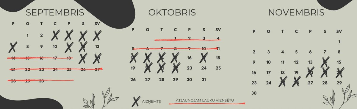 atputa_pie_kokneses__atputas_namins-33.jpg